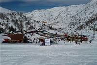 הצעת  נישואין בחרמון הצעת  נישואין בחרמון