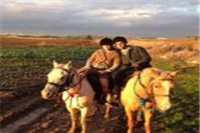 טיול רכיבה רומנטי וארוחה חלבית- באזור הדרום טיול רכיבה רומנטי וארוחה חלבית- באזור הדרום