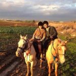 טיול רכיבה רומנטי וארוחה חלבית- באזור הדרום טיול רכיבה רומנטי וארוחה חלבית- באזור הדרום