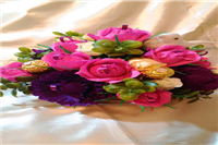 הרמוניה מתוקה הרמוניה מתוקה