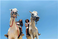רכיבה חלומית רומנטית רכיבה חלומית רומנטית