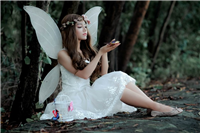 חבילת BUTTERFLY חבילת BUTTERFLY