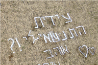 " התנשאי לי? " בשמיים - ו"כן" בקרקע !! " התנשאי לי? " בשמיים - ו"כן" בקרקע !!