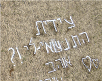 " התנשאי לי? " בשמיים - ו"כן" בקרקע !! " התנשאי לי? " בשמיים - ו"כן" בקרקע !!