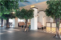 פינוק קלאסי חמישה כוכבים  פינוק קלאסי חמישה כוכבים