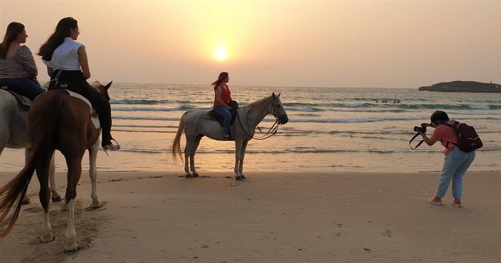 טיולי סוסים במרכז | רכיבה על סוסים בים - 1 טיולי סוסים במרכז | רכיבה על סוסים בים - 1