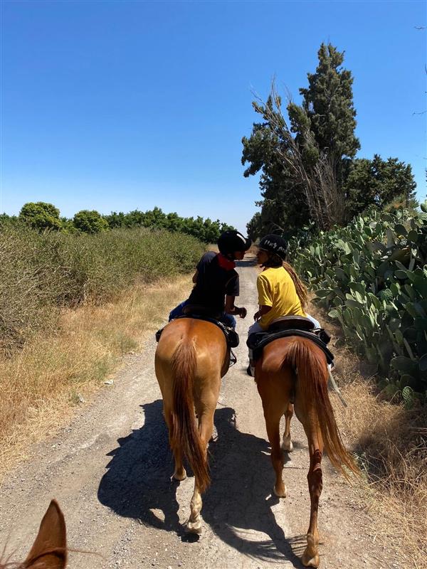 רכיבה זוגית על סוסים רומנטית בדרום לזוג / לילדים | חוות סוסים בדרום פתוח בשבת - 1 רכיבה זוגית על סוסים רומנטית בדרום לזוג / לילדים | חוות סוסים בדרום פתוח בשבת - 1