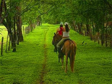 טיול סוסים זוגי רומנטי+סוויטה+סוויטה+לינה+60 דק' עיסוי+ארוחת בוקר - 1 טיול סוסים זוגי רומנטי+סוויטה+סוויטה+לינה+60 דק' עיסוי+ארוחת בוקר - 1