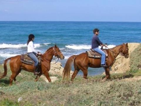 טיול סוסים זוגי רומנטי+60 דק' עיסוי+ארוחה+שימוש חופשי בג'קוזי - 1 טיול סוסים זוגי רומנטי+60 דק' עיסוי+ארוחה+שימוש חופשי בג'קוזי - 1