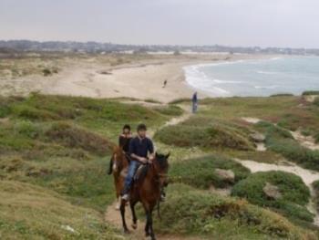 פינוק בספא עם לינה + טיול סוסים זוגי רומנטי וארוחה בשרית על חוף הים  - 1 פינוק בספא עם לינה + טיול סוסים זוגי רומנטי וארוחה בשרית על חוף הים  - 1